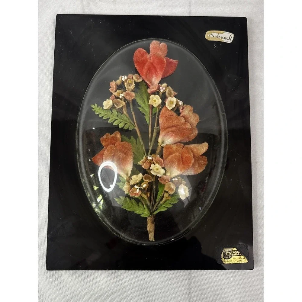 Bubble Convex Frame Vintage Preserved Dried Flowers Arrangement